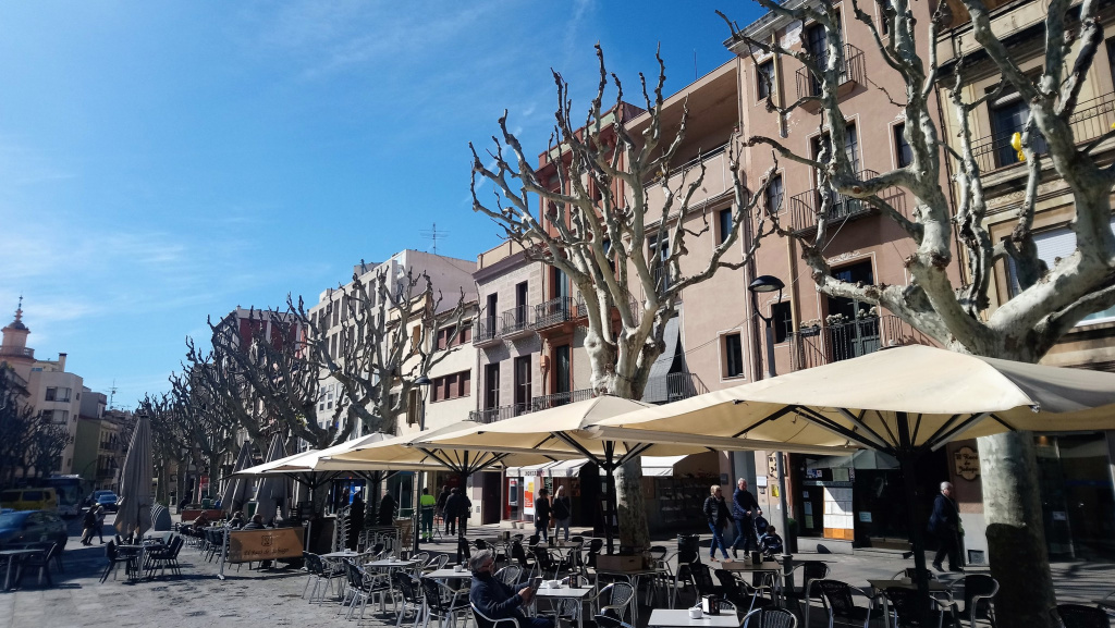 mataro mataro